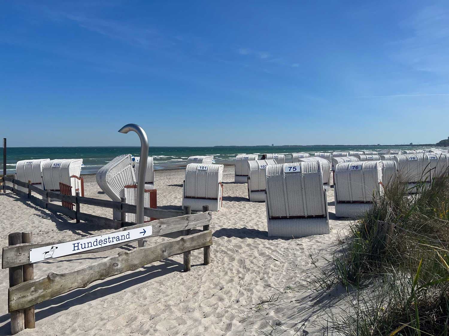 Strandkorb- & Tretbootvermietung Hundestrand Haffkrug